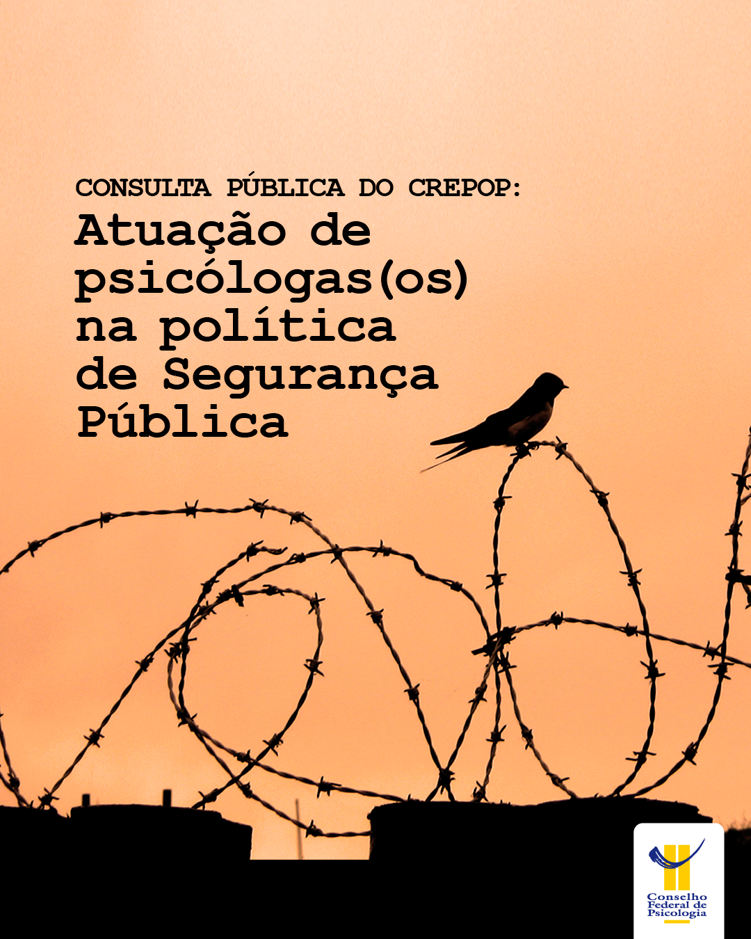 consultacfpcrepop.png